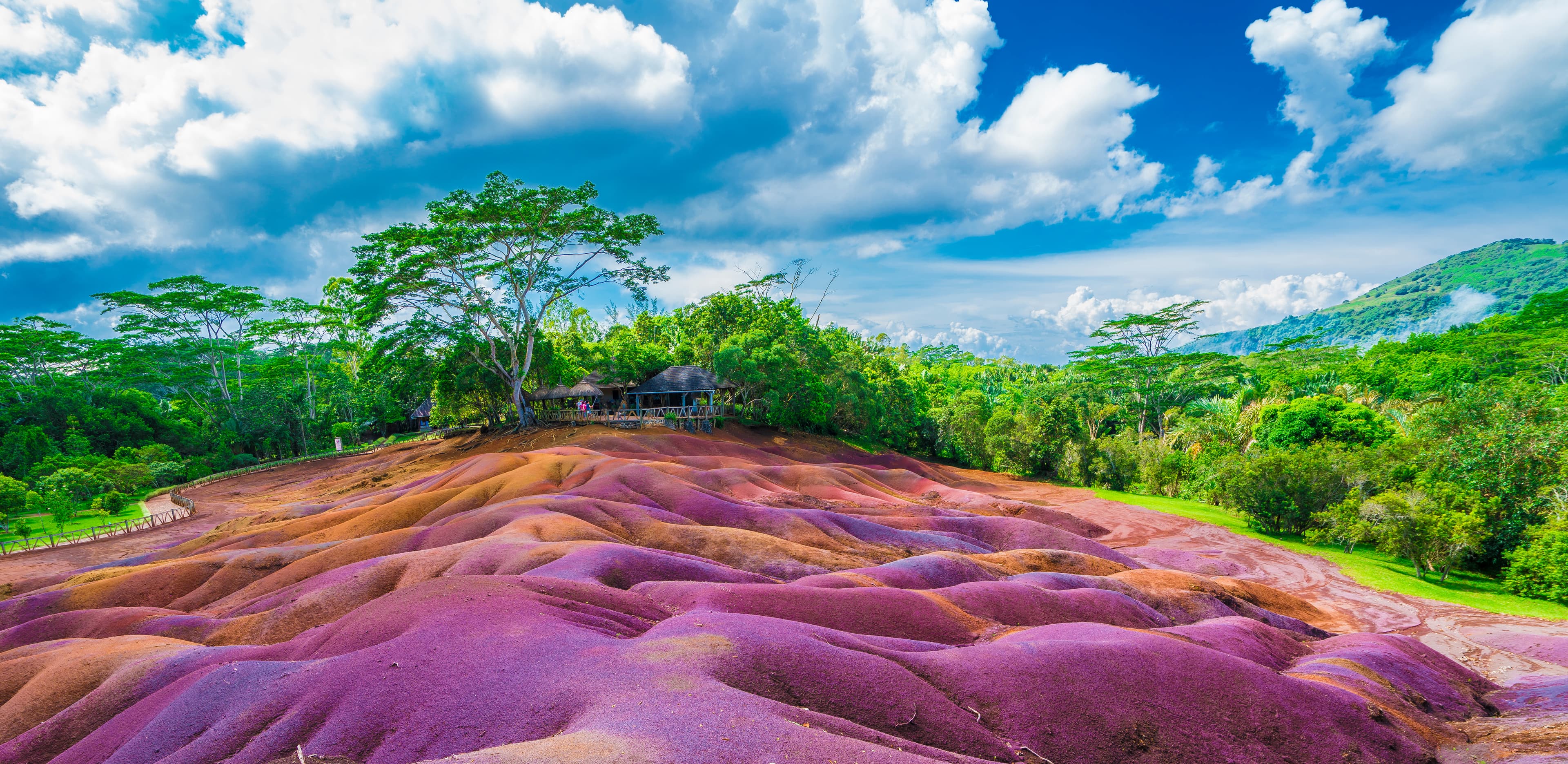 From Reckless Consumption to Conscious Living: Why Mauritius Must Lead the Green Revolution